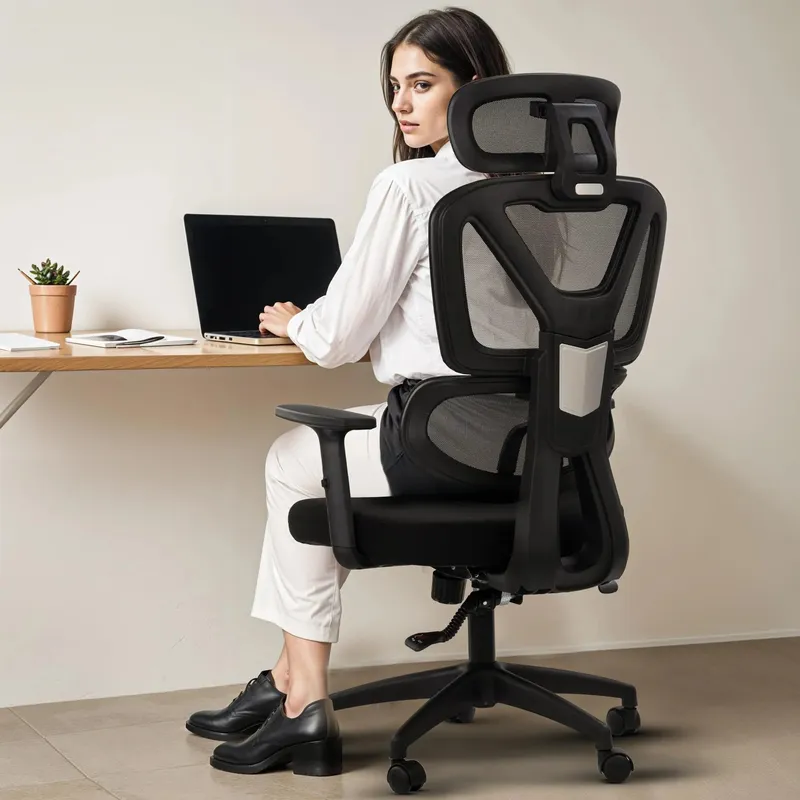 DROGO Premium Ergonomic Office Chair for Work from Home, 3D Headrest, HighBack Computer Chair with Mesh, Flip-up Armrest, Recline, Adjustable Lumbar Support, Mesh Chair for Office (White/Black)